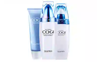 高姿 丝蛋白护肤品套装