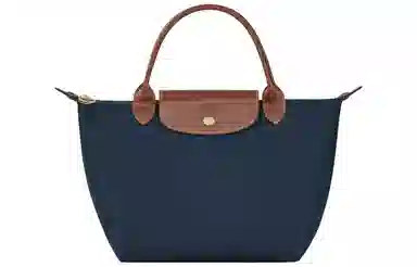 Longchamp Le Pliage