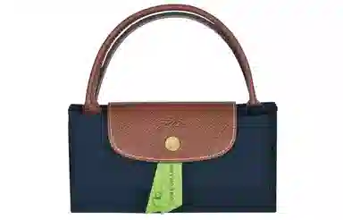 Longchamp Le Pliage
