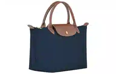 Longchamp Le Pliage