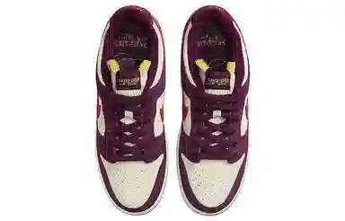 Skate Like a Girl x Nike Dunk SB qs