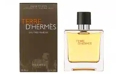 Hermes Terre d'Hermes EDT