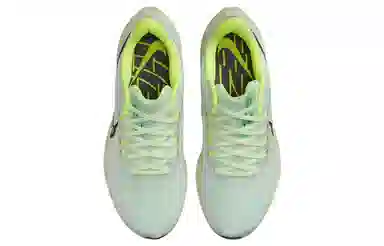 nike resort Air Zoom Pegasus 39
