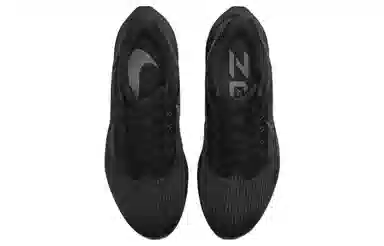 Nike Air Zoom Pegasus 39 Black