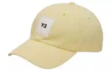 Y-3