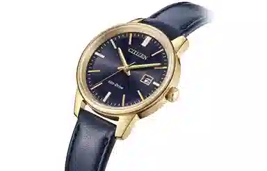 CITIZEN 50 EW2662-19L