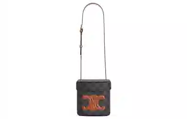 Celine Triomphe Box Brown