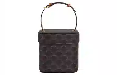 Celine Triomphe Box Brown