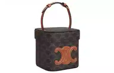 Celine Triomphe Box Brown