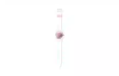 SWATCH 30 34mm GE290