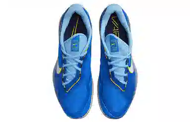 Nike Air Zoom Vapor pro Court
