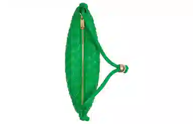 Bottega Veneta Intrecciato