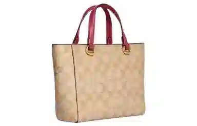 COACH Alice 21