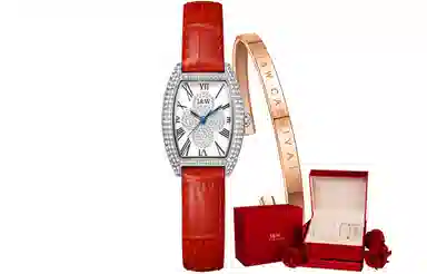 IW CARNIVAL HWGUOJI DW8581L