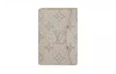 LOUIS VUITTON Pocket Organizer