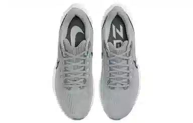 Nike Air Zoom Pegasus 39