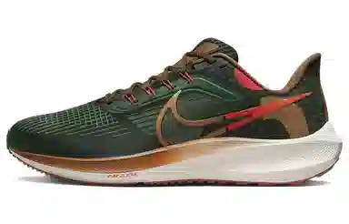 Nike Air Zoom Pegasus 39 "A.I.R. Hola Lou"