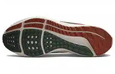 Nike Air Zoom Pegasus 39 "A.I.R. Hola Lou"