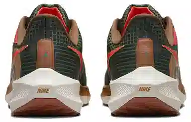 Nike Air Zoom Pegasus 39 "A.I.R. Hola Lou"