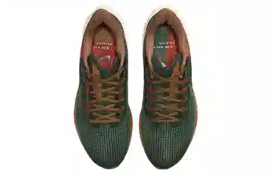 Nike Air Zoom Pegasus 39 "A.I.R. Hola Lou"