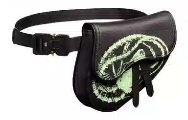 Dior x Cactus Jack Saddle Bag Mini Black