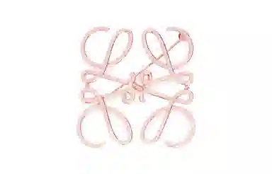 LOEWE nagram