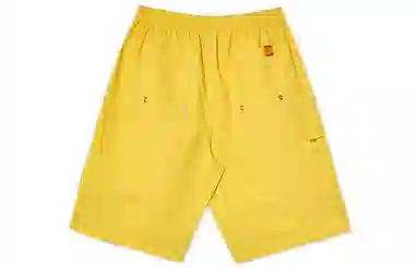 Polar Skate Co Shorts