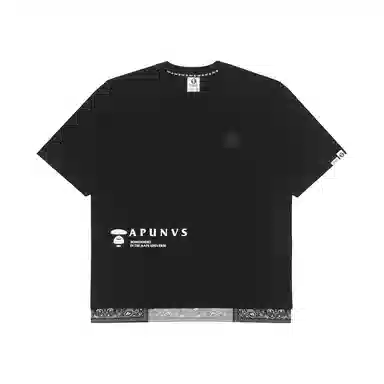 Aape FW22 Heavyweight T-Shirt