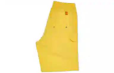 Polar Skate Co Shorts