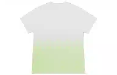 Dickies SS22 logoT
