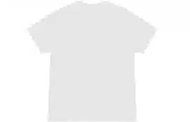 Dickies SS22 LogoT