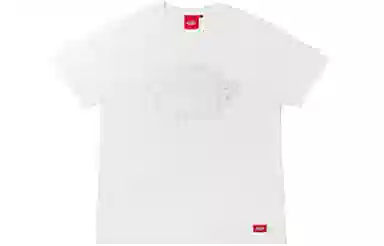 Dickies SS22 LogoT