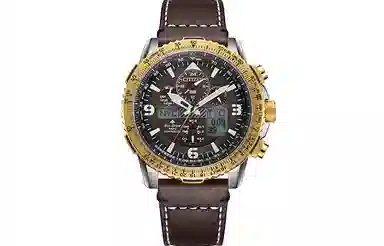 CITIZEN 200 45mm JY8084-17H