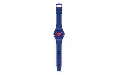 Swatch SO29Z701