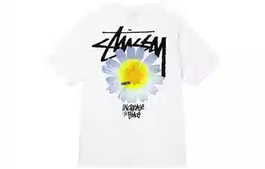 Stussy FW22 Itp Flower Tee