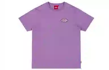 Dickies SS21 logoT