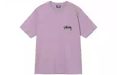 Stussy FW22 Itp Flower Tee