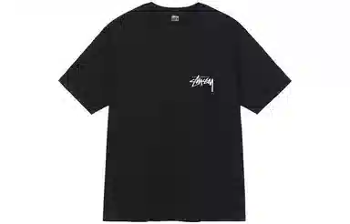 Stussy FW22 Itp Flower Tee