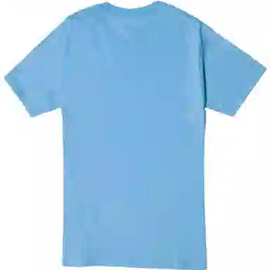 Champion T