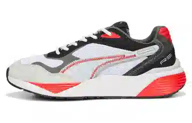 Puma Rs-Metric
