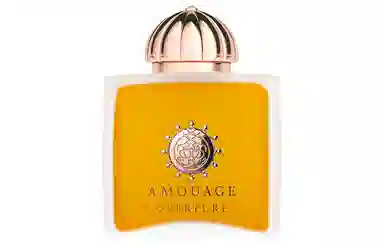 AMOUAGE EDT 100ml