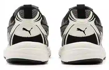 PUMA Milenio