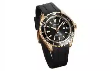 Citizen Promaster BN0193-17E