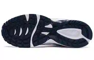 Asics Gel-1090 V2