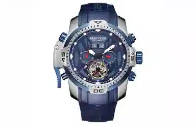 REEF TIGER Aurora Transformers RGA3532-JBLL