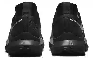 Nike Pegasus Trail 4 Gore-Tex