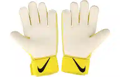 Nike Goalkeeper Match