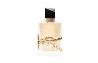 YSL B10 196621 302 50mlEDP