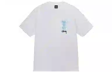 Stussy x Heal The Bay T