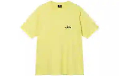 Stussy Basic Tee